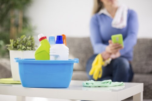 Stain treatment during mattress cleaning service in Peckham