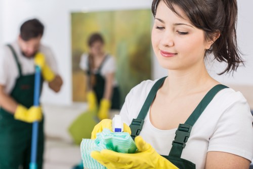 Deep carpet cleaning for pet stain odour removal Peckham