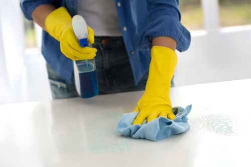 Deep cleaning process for business carpets in Peckham